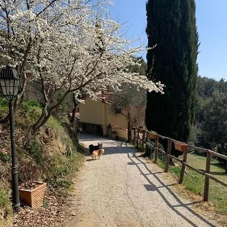 Casale I Due Cipressi Holiday home